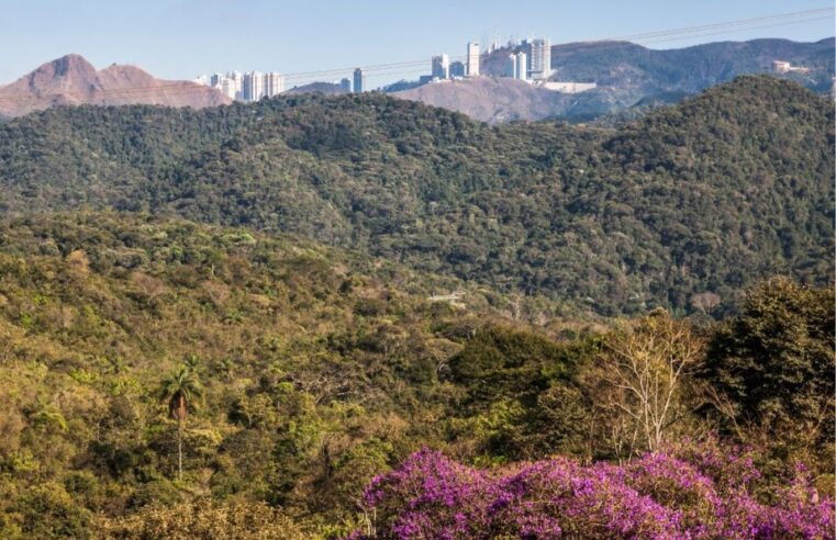 Vale realiza reunião pública sobre plano ambiental de fechamento da Mina de Águas Claras, em Nova Lima