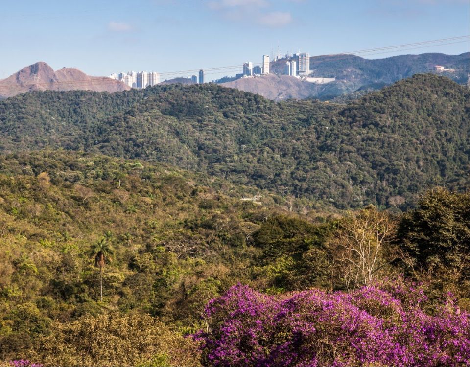 Vale realiza reunião pública sobre plano ambiental de fechamento da Mina de Águas Claras, em Nova Lima