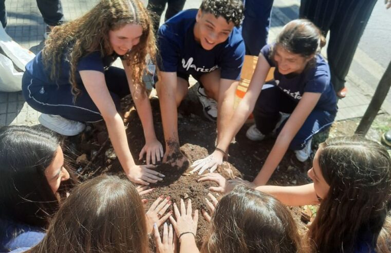 Colégio de BH promove plantio de árvores e mobiliza comunidade escolar em ação sustentável