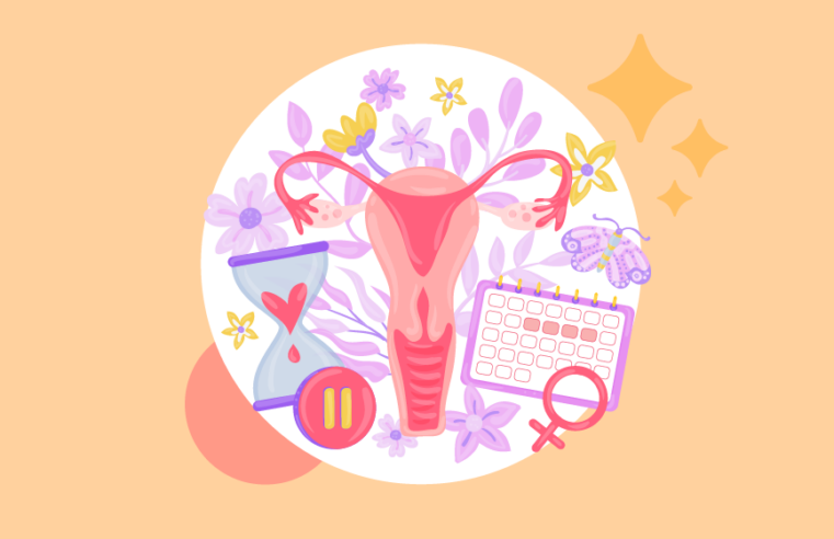 Cirurgia íntima feminina está mais atribuída a qualidade de vida do que a estética